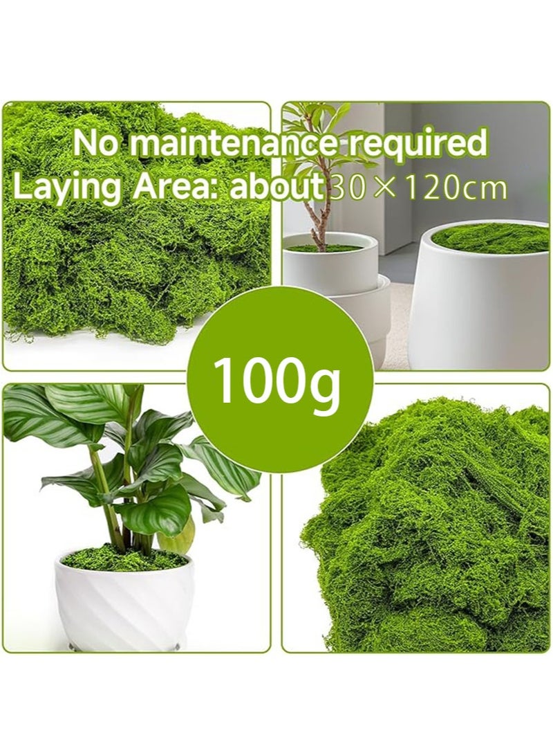 Aikanbo 100g Fake Green Moss for Indoor Pot Plants，Artificial Moss，Can be Used for Crafts，Fairy Garden Artificial Moss Decoration，DIY Decoration，Model Making，Wall，Glass Container，Home （Dark Green）  - Image 3