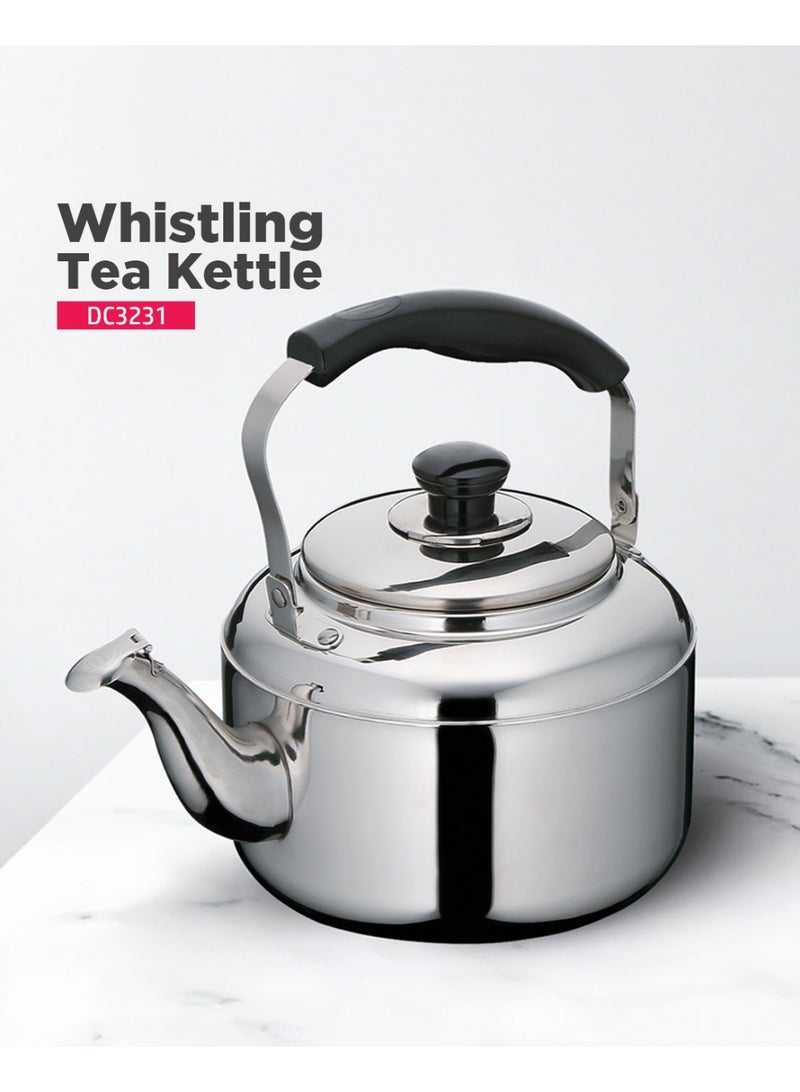 ديلكاسا غلاية شاي ديلكاسا DC3231 من الفولاذ المقاوم للصدأ، سعة 4 لتر، فضي - Image 2