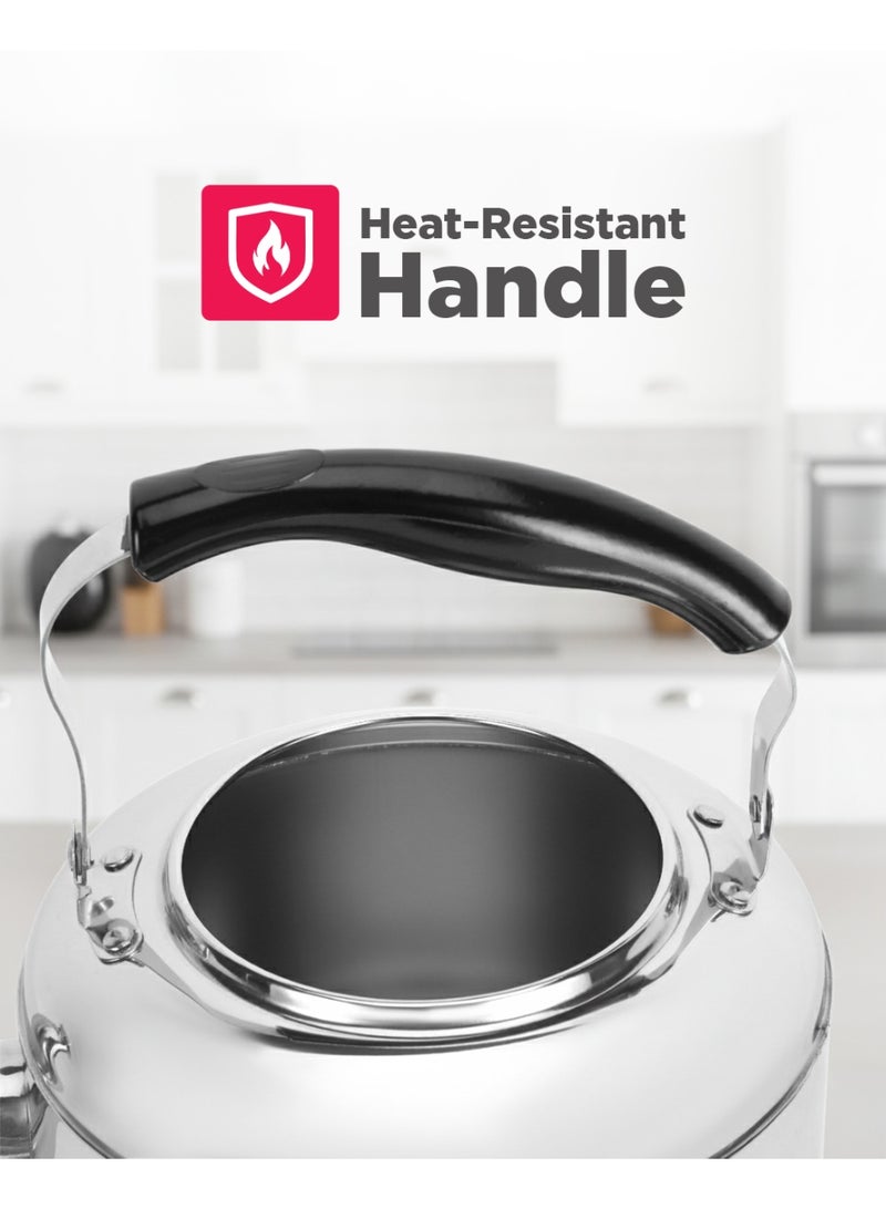 ديلكاسا غلاية شاي ديلكاسا DC3231 من الفولاذ المقاوم للصدأ، سعة 4 لتر، فضي - Image 4