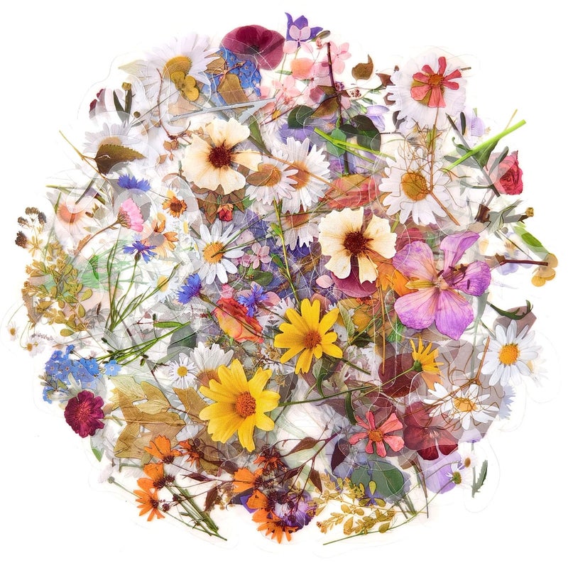 120Pcs Botanical Flower Stickers for Scrapbook Transparent Natural Floral Resin Decals Stickers for Journaling Planner Wrapping DIY Crafts Cards Album Water Bottles Phone Cases Laptops