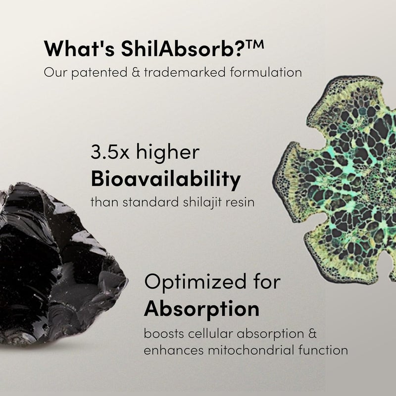Man Matters جلوبي شيلجيت هيمالايا النقي مع 75% حمض فلفيك و KSM 66 أشواغاندا | يعزز القدرة على التحمل والقوة ويحسن مستويات الطاقة | بدون سكر مضاف | عبوة من 60 - Image 4