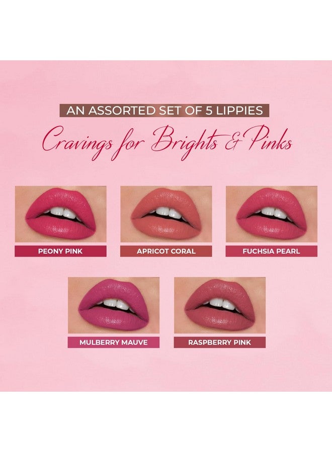 جاست هيربز مجموعة أحمر شفاه سائل مطفي أيورفيدا من جاست هيربز، مكونة من 5 قطع، بلون شفاه يدوم طويلًا، مرطب وخفيف الوزن، بألوان زاهية ووردية - خالية من البارابين والسيليكون - 5 مل - Image 2