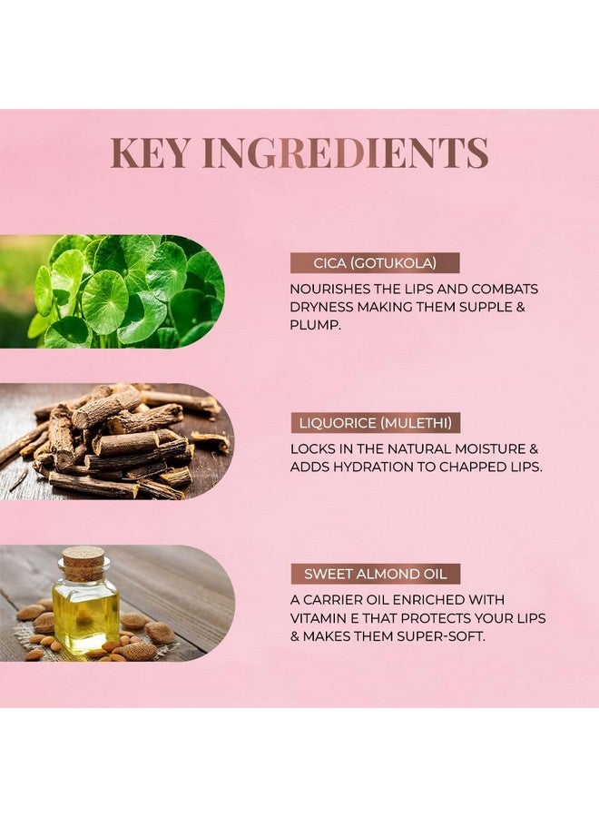 جاست هيربز مجموعة أحمر شفاه سائل مطفي أيورفيدا من جاست هيربز، مكونة من 5 قطع، بلون شفاه يدوم طويلًا، مرطب وخفيف الوزن، بألوان زاهية ووردية - خالية من البارابين والسيليكون - 5 مل - Image 5