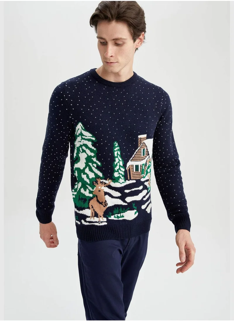 DeFacto Regular Fit Crew Neck Long Sleeve Newyear Themed Jumper