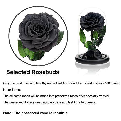NATROSES Handmade Preserved Roses in Glass Dome, Black Roses Roses, Preserved Flowers Gifts for Women, Mothers Day Flowers - Image 4