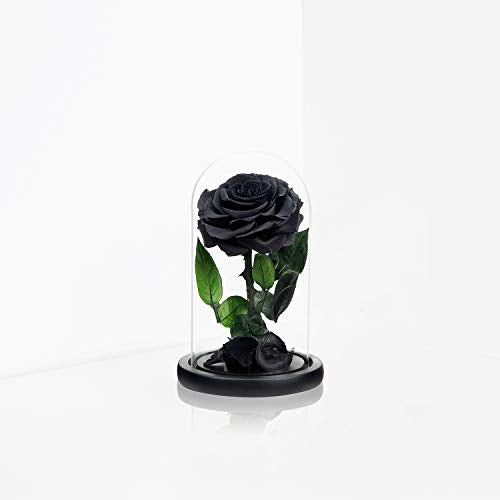 NATROSES Handmade Preserved Roses in Glass Dome, Black Roses Roses, Preserved Flowers Gifts for Women, Mothers Day Flowers - Image 3