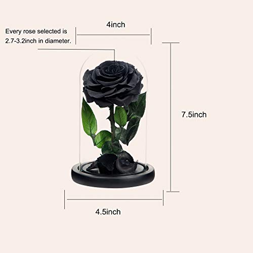 NATROSES Handmade Preserved Roses in Glass Dome, Black Roses Roses, Preserved Flowers Gifts for Women, Mothers Day Flowers - Image 2