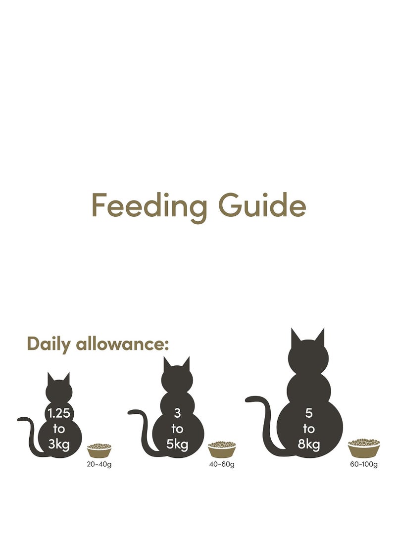 Applaws Dry Food - Chicken With Extra Salmon 2kg - Image 4