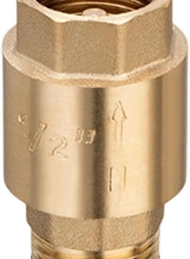 صمام فحص اللون النحاسي للتدفق الخارجي مانع ارتداد سميك لإمدادات المياه HVAC - Image 2