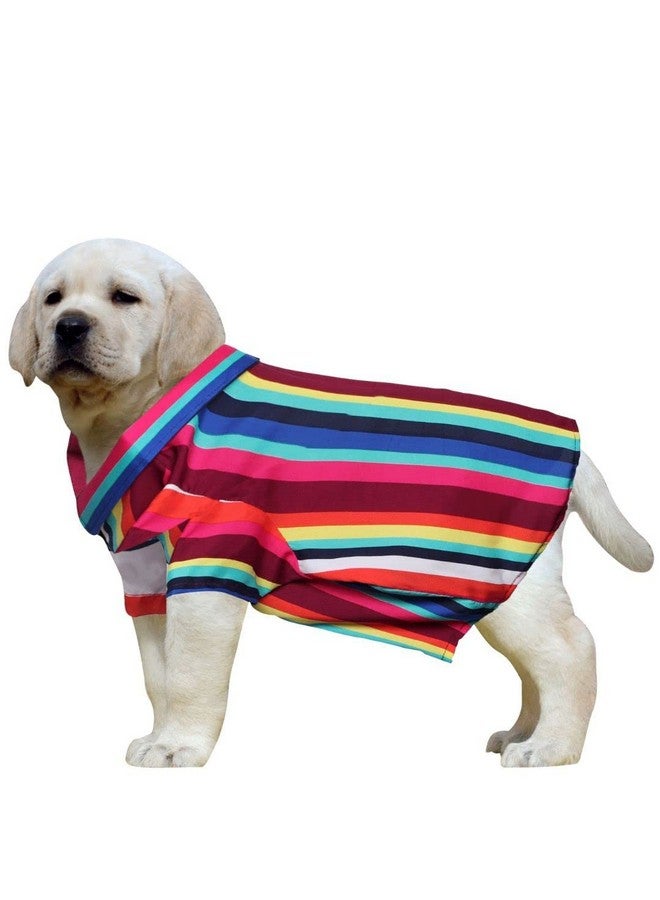Western Era Super Soft Trendy Printed Shirt, Ultra Comfort Dog Apparel, Cotton Printed Breathable Basic Vest Dog Shirt, Lightweight Thin Shirt For Your Furies (Large - 20 Inch)(Colorful Stripe Print) - Image 1