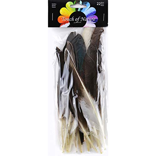 Touch of Nature 22-Piece Duck Wing Quills for Arts and Crafts, 8-Inch, Natural/Grey - Image 1
