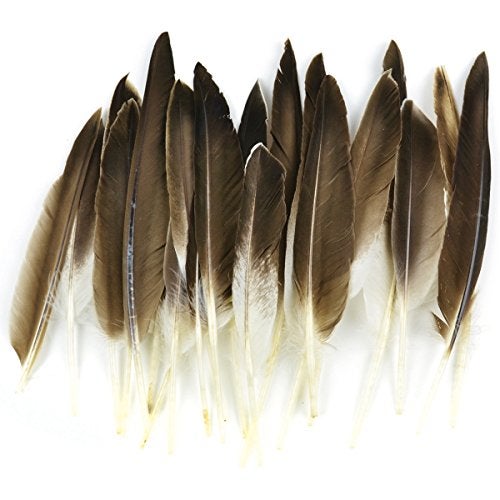 Touch of Nature 22-Piece Duck Wing Quills for Arts and Crafts, 8-Inch, Natural/Grey - Image 2