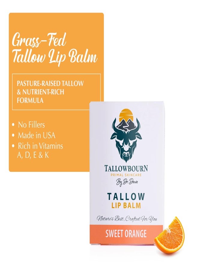 Tallowbourn Moisturizing Tallow Lip Balm – Grass-Fed Beef Tallow with Organic Coconut Oil, Beeswax, and Vitamin E – Sweet Orange – Lip Balm Set – Travel Essential – 3-Pack - Image 3