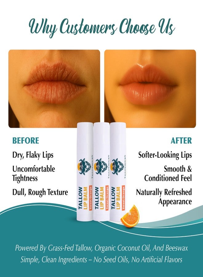 Tallowbourn Moisturizing Tallow Lip Balm – Grass-Fed Beef Tallow with Organic Coconut Oil, Beeswax, and Vitamin E – Sweet Orange – Lip Balm Set – Travel Essential – 3-Pack - Image 4