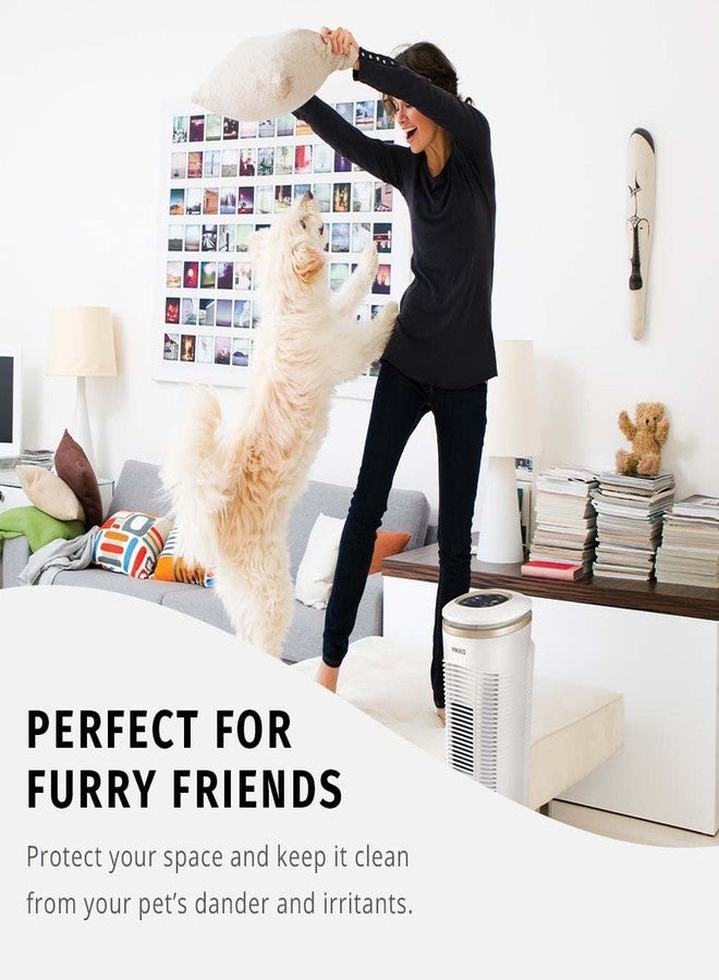 هوميديكس فلتر بديل لجهاز تنقية الهواء من نوع HEPA من Homedics TotalClean PetPlus، متوافق مع أجهزة تنقية الهواء من نوع PetPlus من Homedics AT-PET01 و AT-PET02، يلتقط الجزيئات المجهرية المحمولة جواً. - Image 5