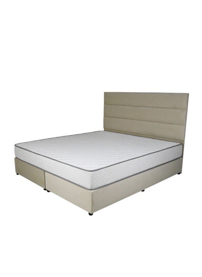 Bed and Mattress Zone Serenity Upholstered Bed 200 X 100 Single Size Beige Color  - Image 2