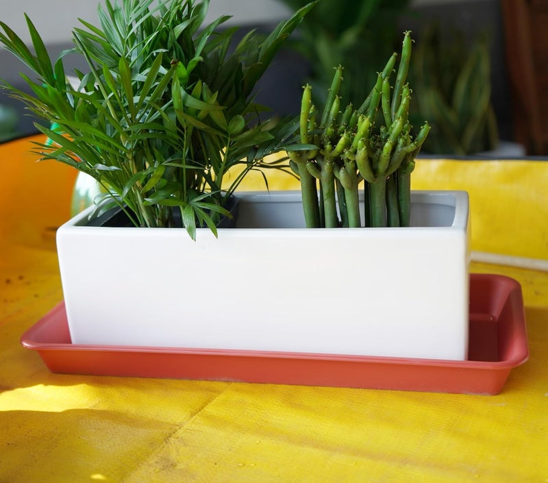 VUWEZ 2 Pack Plastic Plant Saucer, Rectangular, Indoors Outdoor, Water Drip Tray for Flower Pot, Windowsill (6.5 X 13 Inch, Black) - Image 5