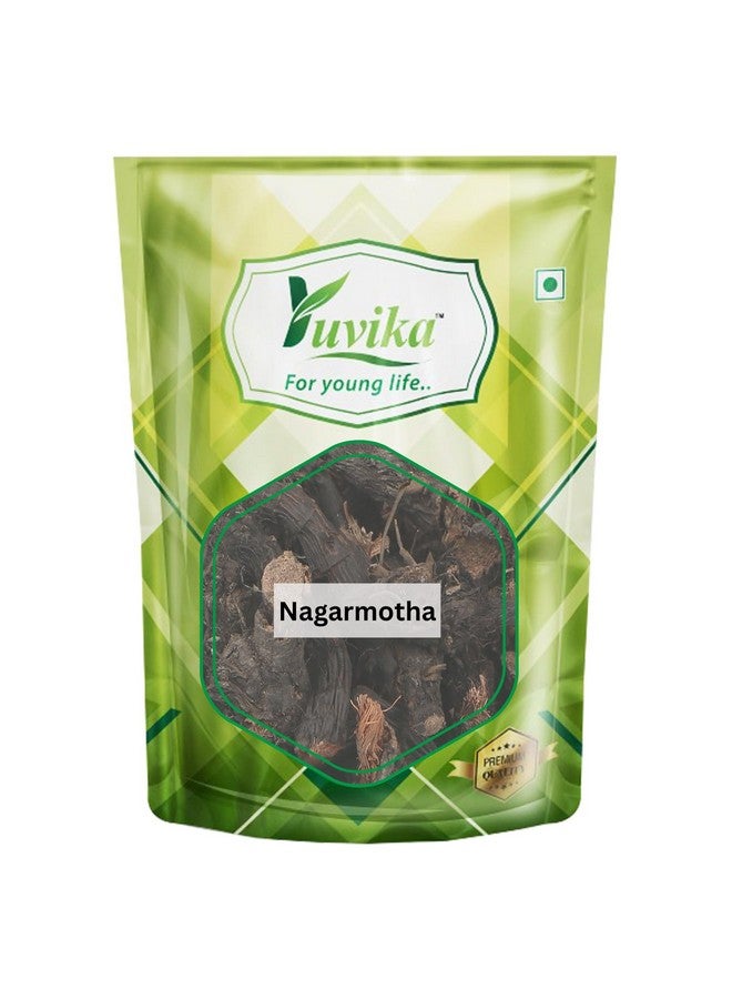 YUVIKA Nagarmotha - Cyperus Rotundus Rhizome - Nut Sedge Root (100 Grams) - Image 1