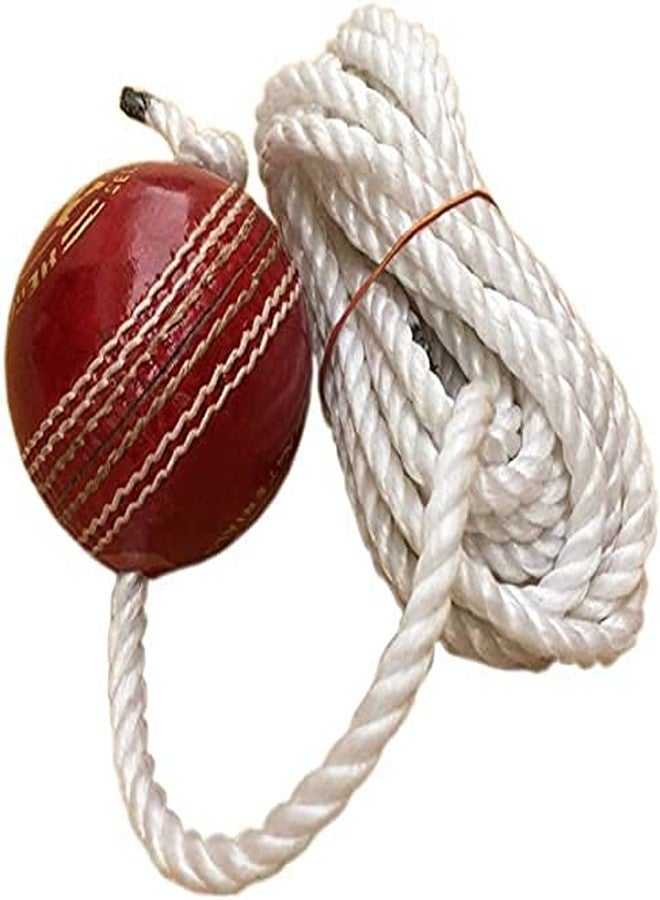 TOPTEAM Top Team Leather Hanging Cricket Ball for Shot Practice, Red (Pack of 1) - Image 4