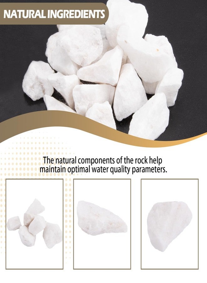 Verplexter Shrimp Rocks for Aquarium, 5-oz - Image 3