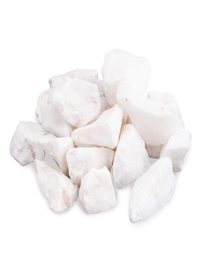 Verplexter Shrimp Rocks for Aquarium, 5-oz - Image 1