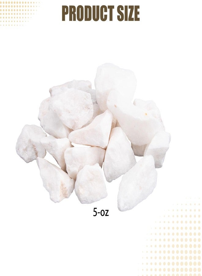 Verplexter Shrimp Rocks for Aquarium, 5-oz - Image 2