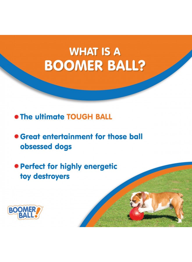 The Company of Animals The Company of Animals Dog Boomer Ball, Large, Assorted Color - Image 1