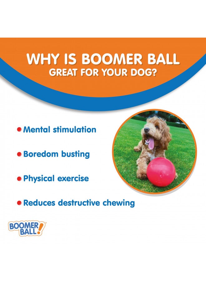 The Company of Animals The Company of Animals Dog Boomer Ball, Large, Assorted Color - Image 2