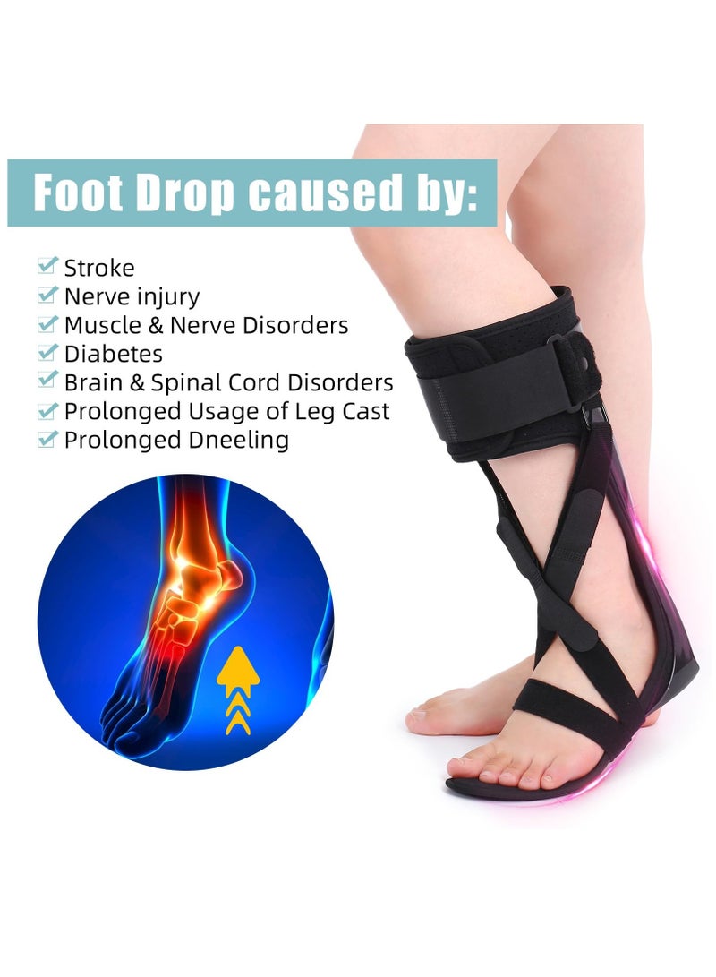 SOLARAE Medical AFO Foot Drop Brace, Ankle Foot Orthosis Drop Foot Stabilizer Support for Walking with Shoe for Men and Women for Stroke, MS, Hemiplegia Foot Drop, ALS, Medium-Right - Image 2