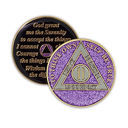 2 Year Sobriety Coin Glitter Triplate AA Chip Recovery Anniversary Token Purple