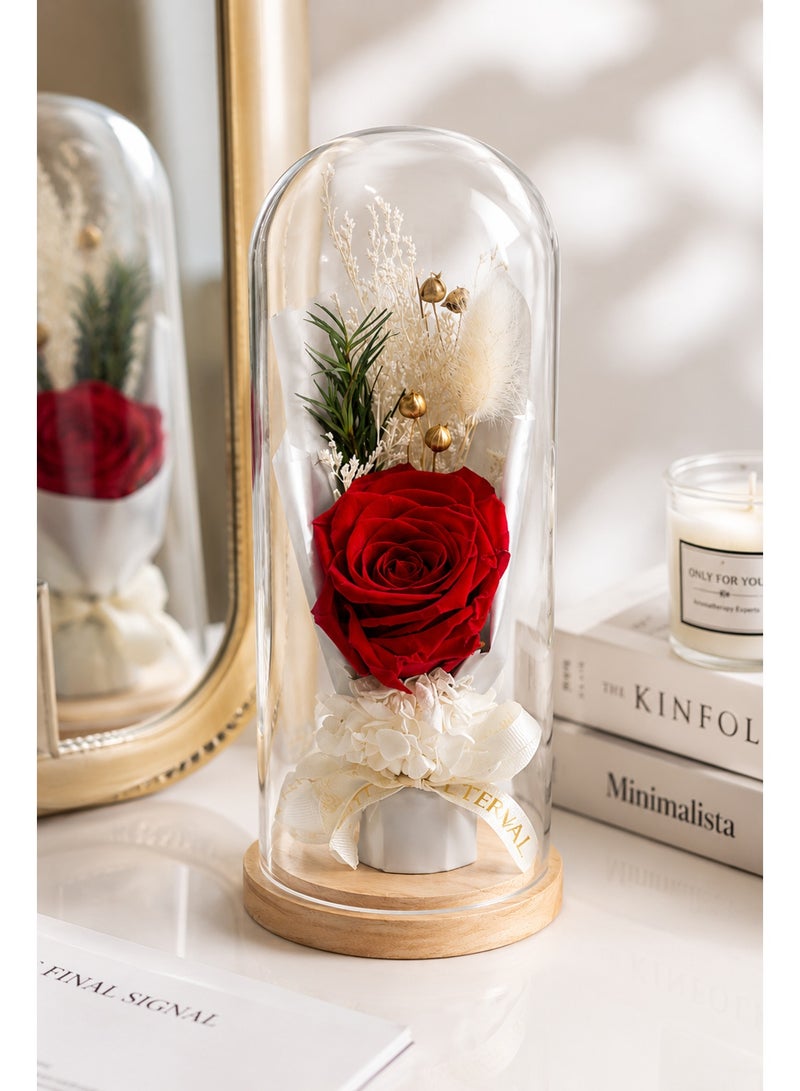 RAFAL Forever Red Rose in Glass Dome – Preserved Eternal Rose Lasts up to 2 Years, Premium Natural Flower, Luxury Romantic Gift for Her, Table Decor for Anniversary & Birthday - Image 2