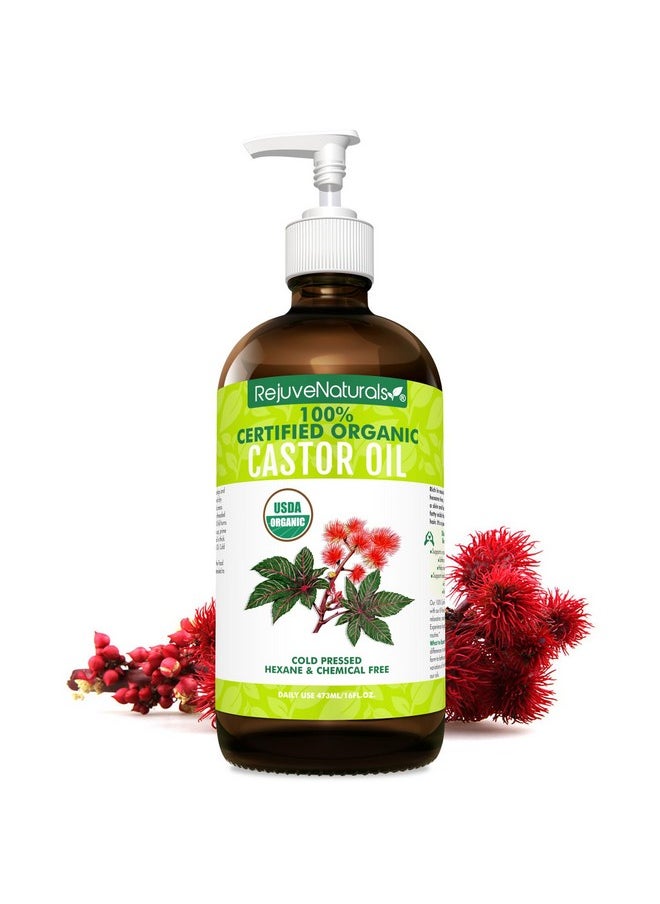 RejuveNaturals - Castor Oil (16Oz Glass Bottle) Usda Certified Organic, 100% Pure, Cold Pressed, Hexane Free. Boost Hair Growth For Thicker, Fuller Hair, Lashes & Eyebrows. - Image 1