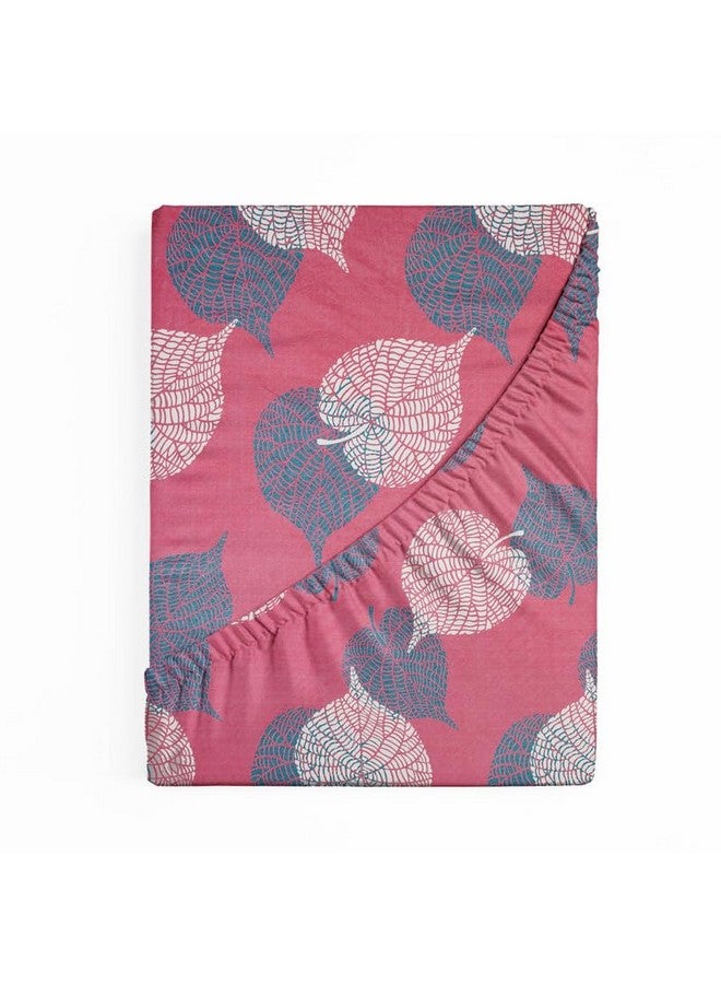 BSB HOME BSB HOME Premium Cotton 220tc Elastic Fitted Bedsheets with 2 Pillow Covers | King Size Bed with All Around Elastic 220 TC Supersoft Printed Pattren Breathable |Size-78 x72+10 inches | Pink & Grey  - Image 1