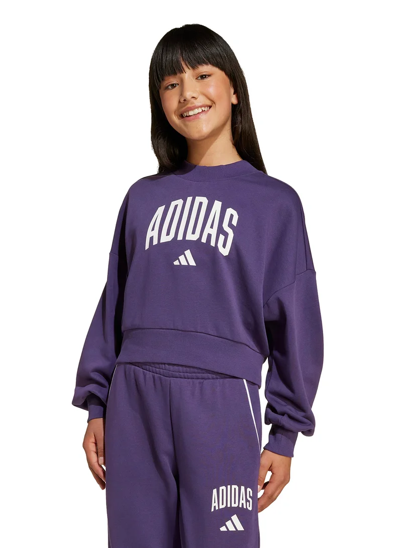Adidas Kids Seasonals Essential Colegiate Typography Hoodie