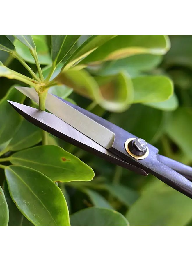 Black Garden Pruning Scissors for Potted Plants Bonsai and Small Branch Trimming 1pc - Image 2