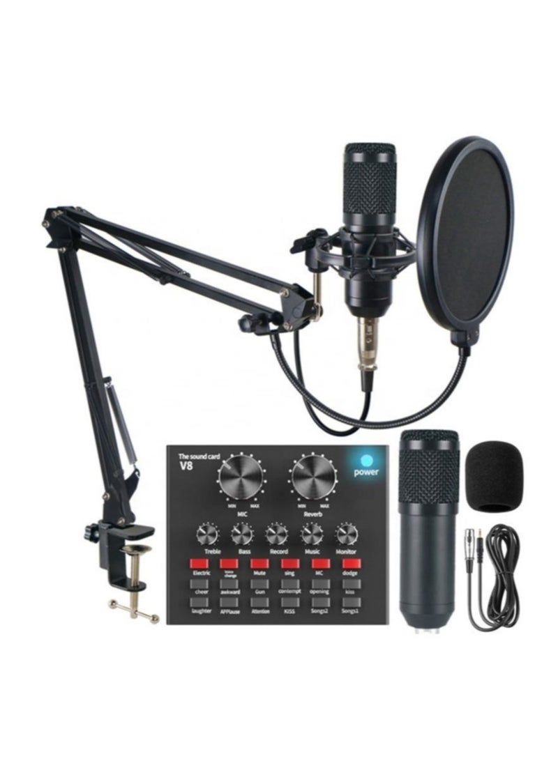 ELTRAZONE Adjustable Recording Condenser Microphone with Kit V8 - Image 1