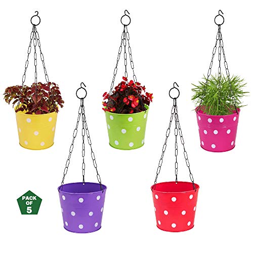Leafy Tales Metal Chain Hanging Planter - Set of 5 (Rust Free - Red, Green, Yellow, Pink, Purple) - with Chains, 14 cm x 17 cm x 14.5 cm - Image 2