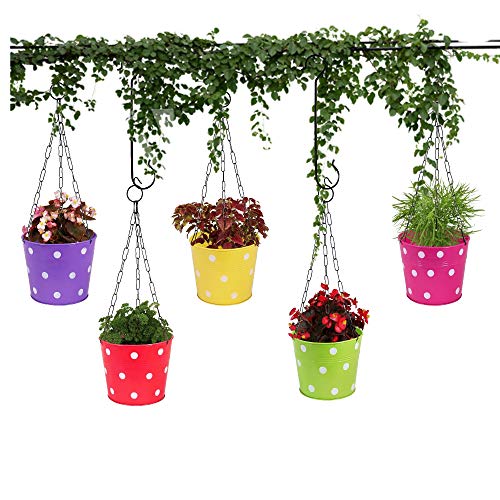 Leafy Tales Metal Chain Hanging Planter - Set of 5 (Rust Free - Red, Green, Yellow, Pink, Purple) - with Chains, 14 cm x 17 cm x 14.5 cm - Image 1