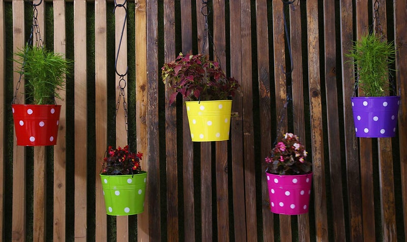 Leafy Tales Metal Chain Hanging Planter - Set of 5 (Rust Free - Red, Green, Yellow, Pink, Purple) - with Chains, 14 cm x 17 cm x 14.5 cm - Image 4