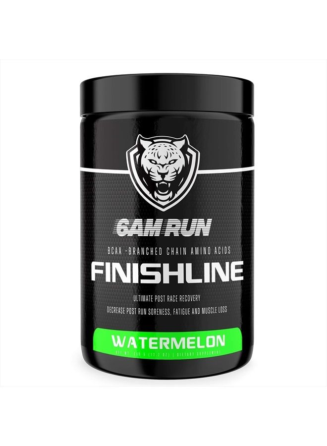 Finishline | BCAA Powder Amino Energy | Post Run Recovery Drink | Branch Chain Amino Acids Powder | Heal and Recovery Powder | Keto Post Workout Powder | Watermelon BCAA Powder | 50 Scoops