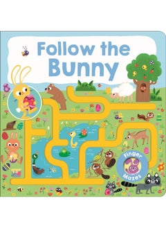 Maze Book: Follow the Bunny 