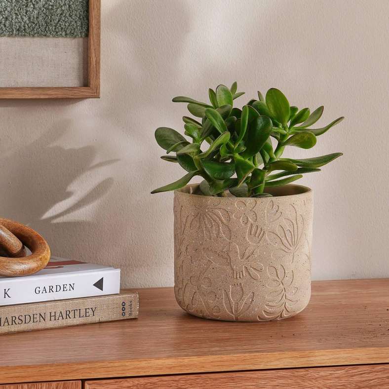 Pan Home وعاء تيراكوتا بيج لتزيين المنزل