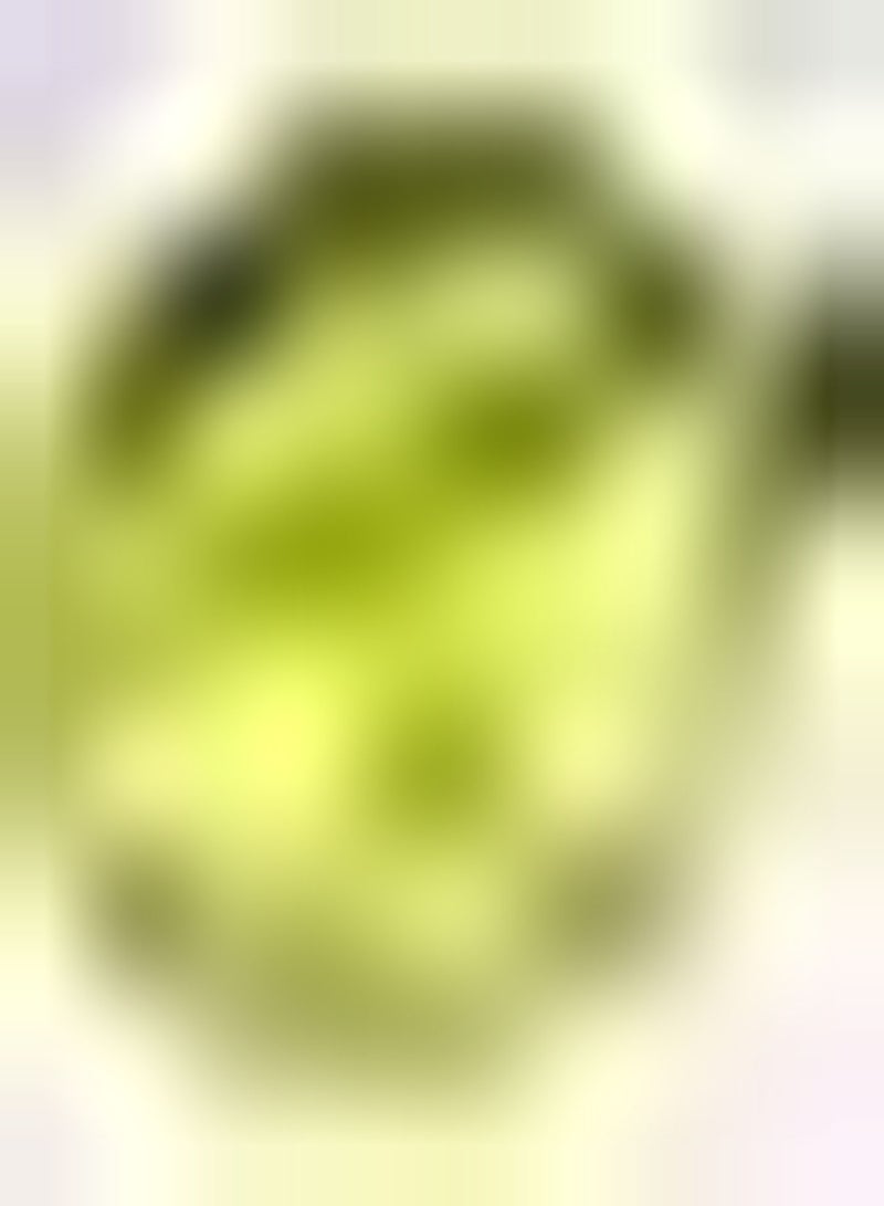 GGOOT 50pcs Zucchini Seeds Round Cute Charming Kitchen One of Necessary Green Vegetables Planted Indoors Outdoors Entry Level Seed - Image 1