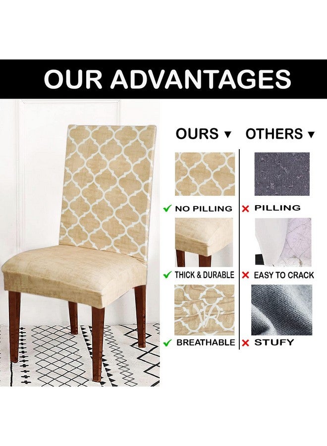 ohello® Chair Cover Export Quality Polycotton Dining Chair Covers Set of 4 Pcs Stretchable & Easily Washable Case Protector for Dining Chairs (TCC5009, Beige) - Image 3