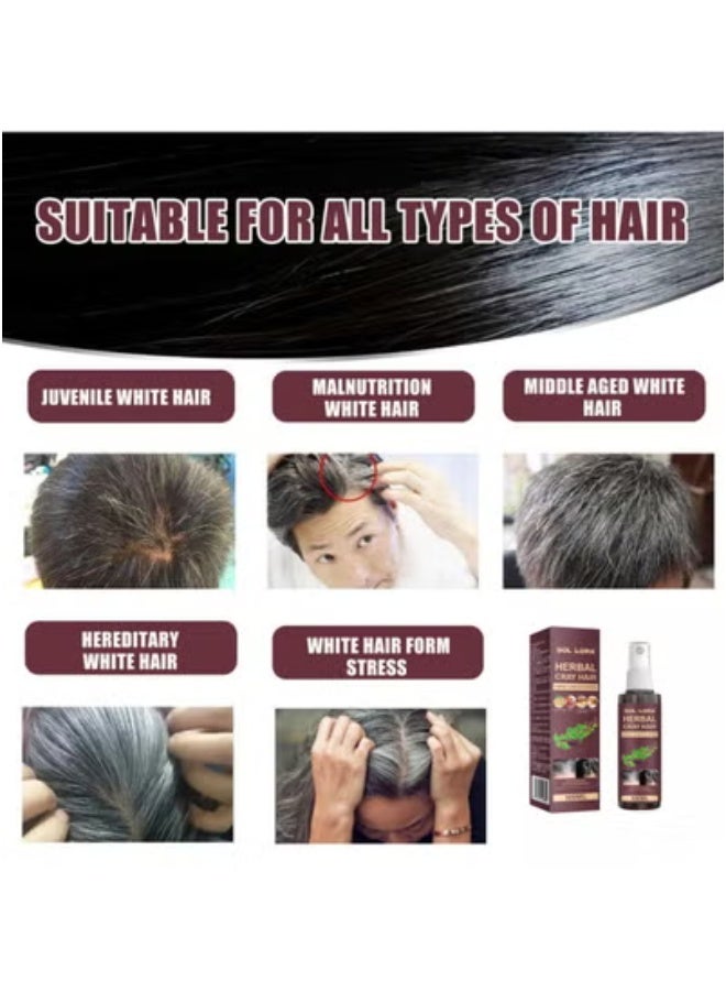 SOL LORA Herbal Hair Conditioner Polygonum multiflorum Herbal Essence Moisturizing Hair Care Black Hair Conditioner 100ML - Image 5