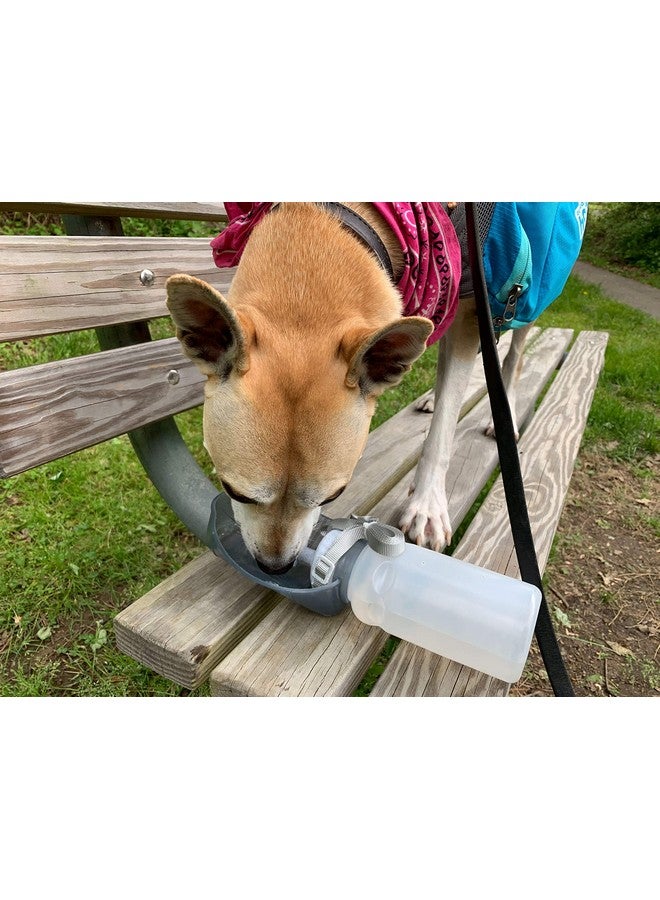Lixit Hand Held Foldable Travel Hiking Outdoor Watering Bottle Bowl for Dogs (Pack of 1, Granite) - Image 4
