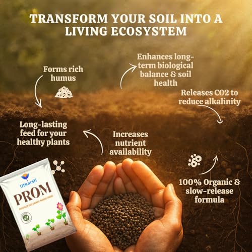 Utkarsh PROM - Phosphate Rich Organic Manure for Plants, Home Garden - 1.8 Kg Granules, 100% Water Soluble Fertilizers for Plants Growth, Bio DAP to Improve Flowering, Fruiting & Vegetables (900g X 2) - Image 3