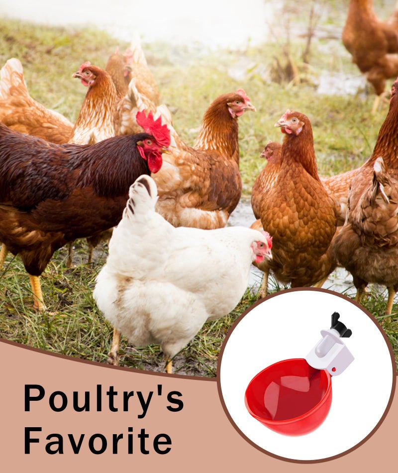 INIMAGINE 10 Pcs Chicken Feeder and Drinker, Chicken Feeder Cup, Poultry Farm Equipment Poultry Automatic Drinking Bowl - Image 5