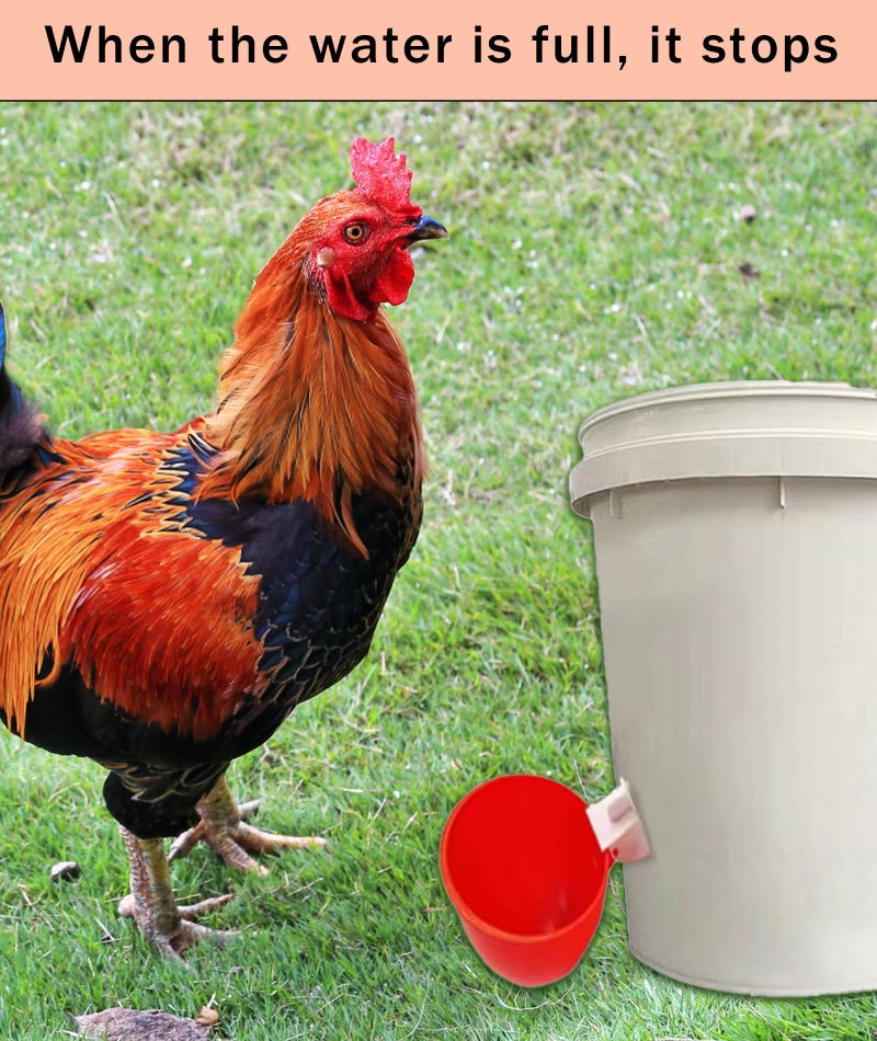 INIMAGINE 10 Pcs Chicken Feeder and Drinker, Chicken Feeder Cup, Poultry Farm Equipment Poultry Automatic Drinking Bowl - Image 4
