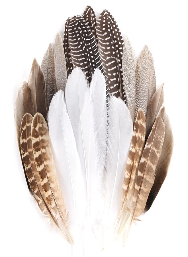MAOFENG 20pcs Natural Pheasant Feathers 5 Styles 5-9 inches 13-23cm for DIY Craft Wedding Home Party Hat Floral Arrangements Decorations - Image 1